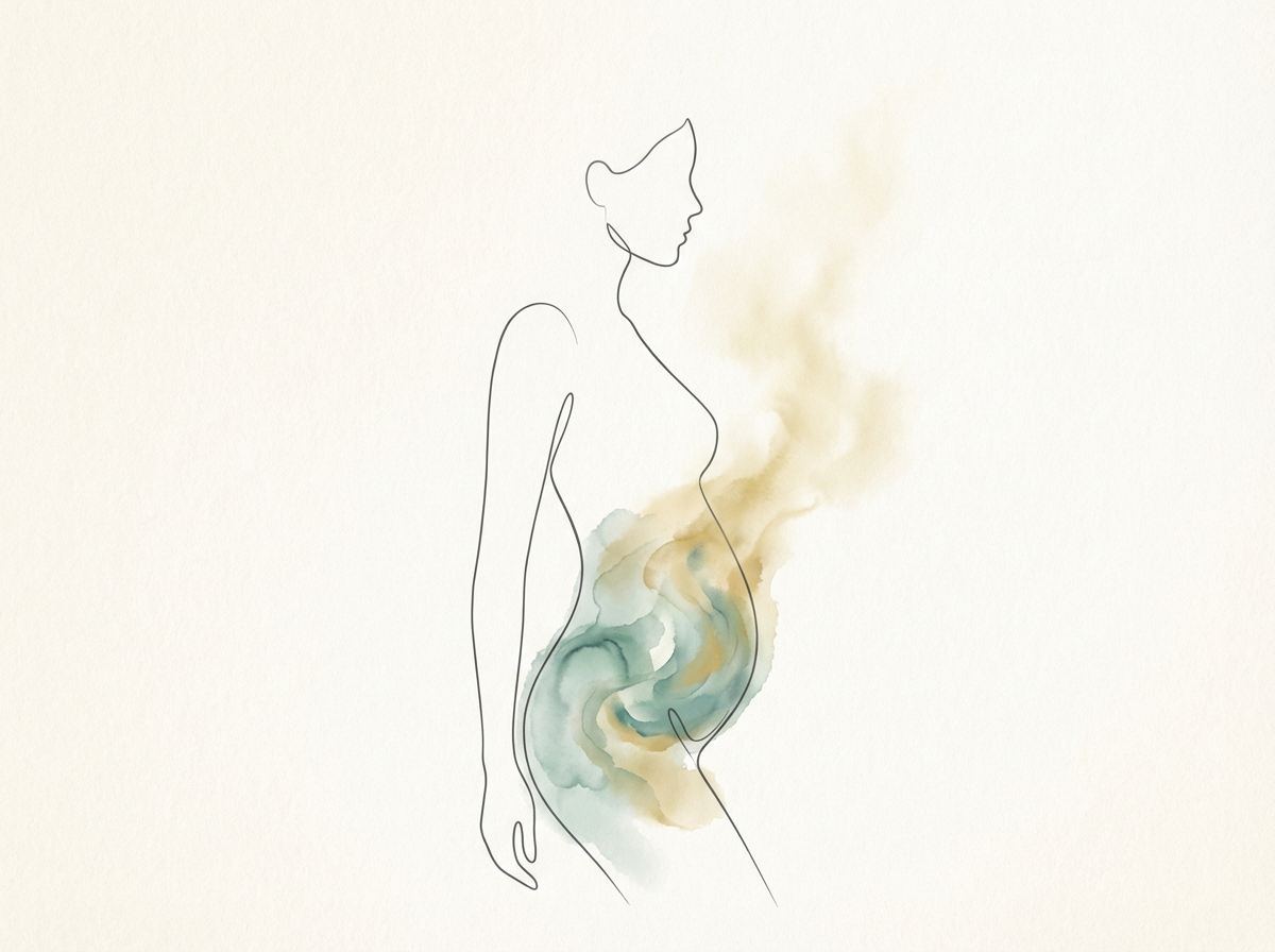 Minimalist illustration showing digestive relief - Bloating Protocol