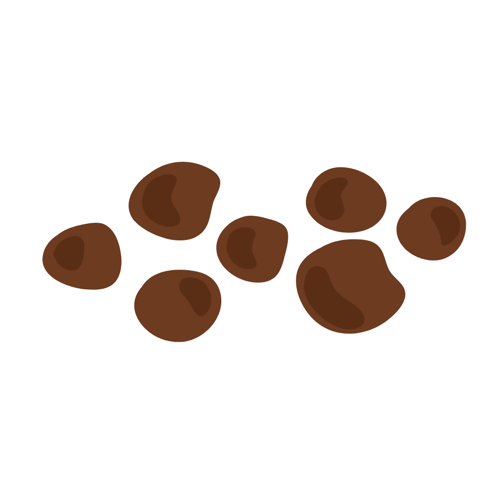 Bristol Type 1 - Separate hard lumps